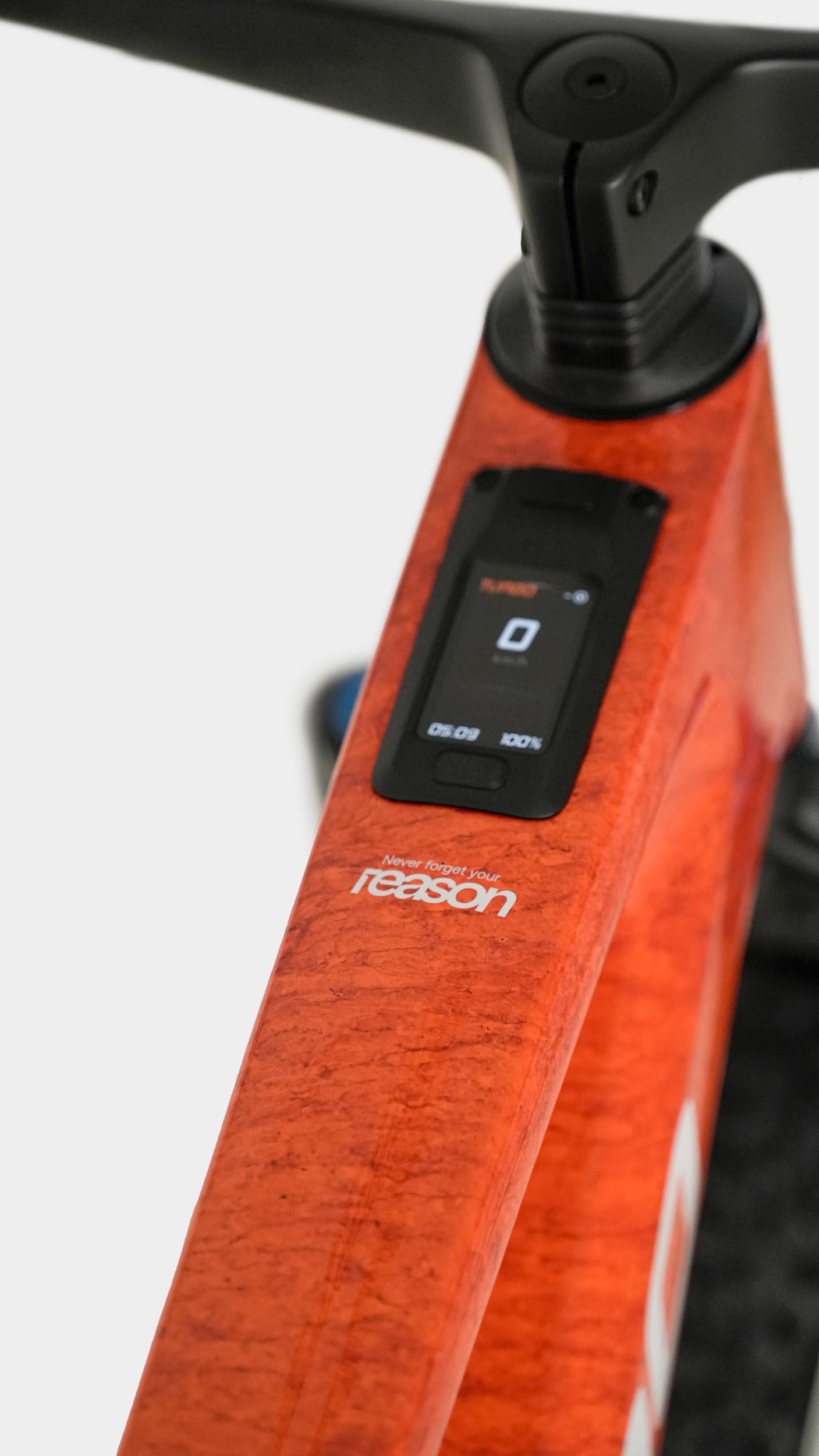 Megamo REASON CRB 01 2026